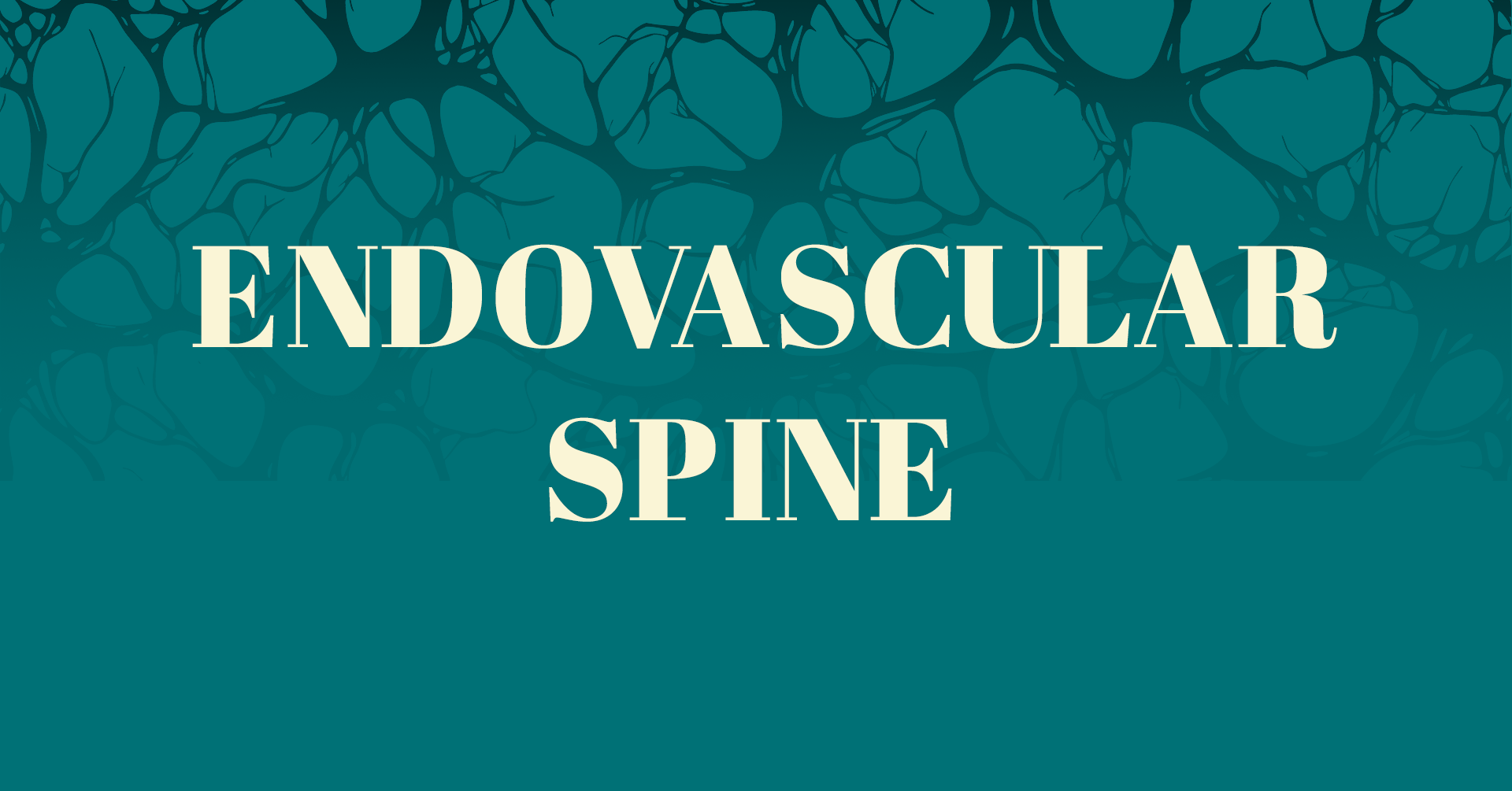 Endovascular Workshop